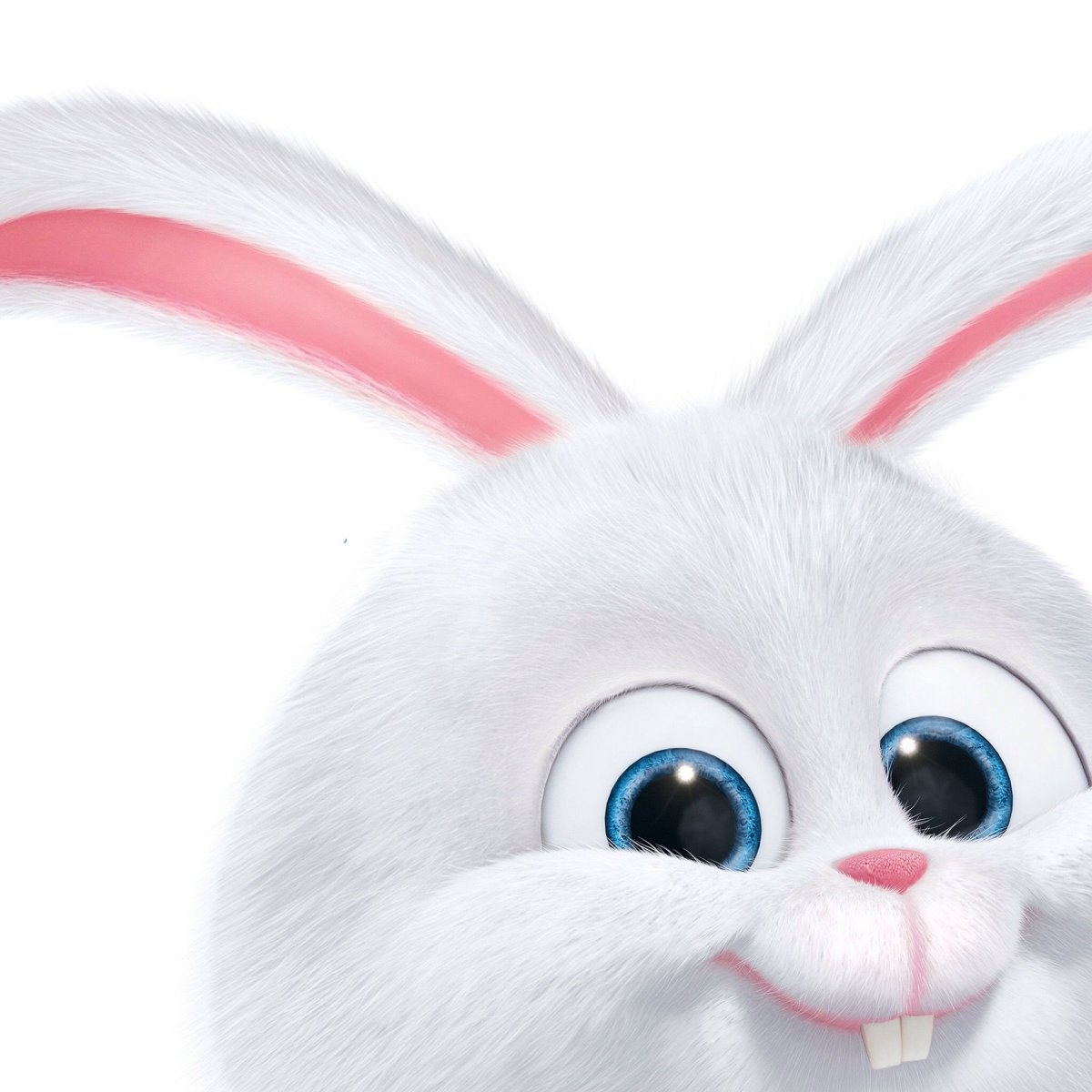 Тайная жизнь домашних животных заяц снежок