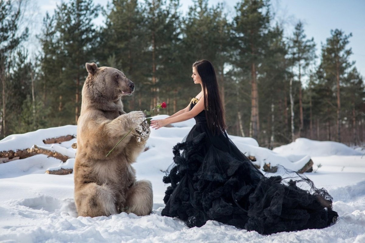 Медведь и девушка арт