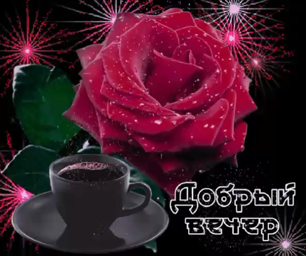 Открытки добрый вечер и спокойной ночи