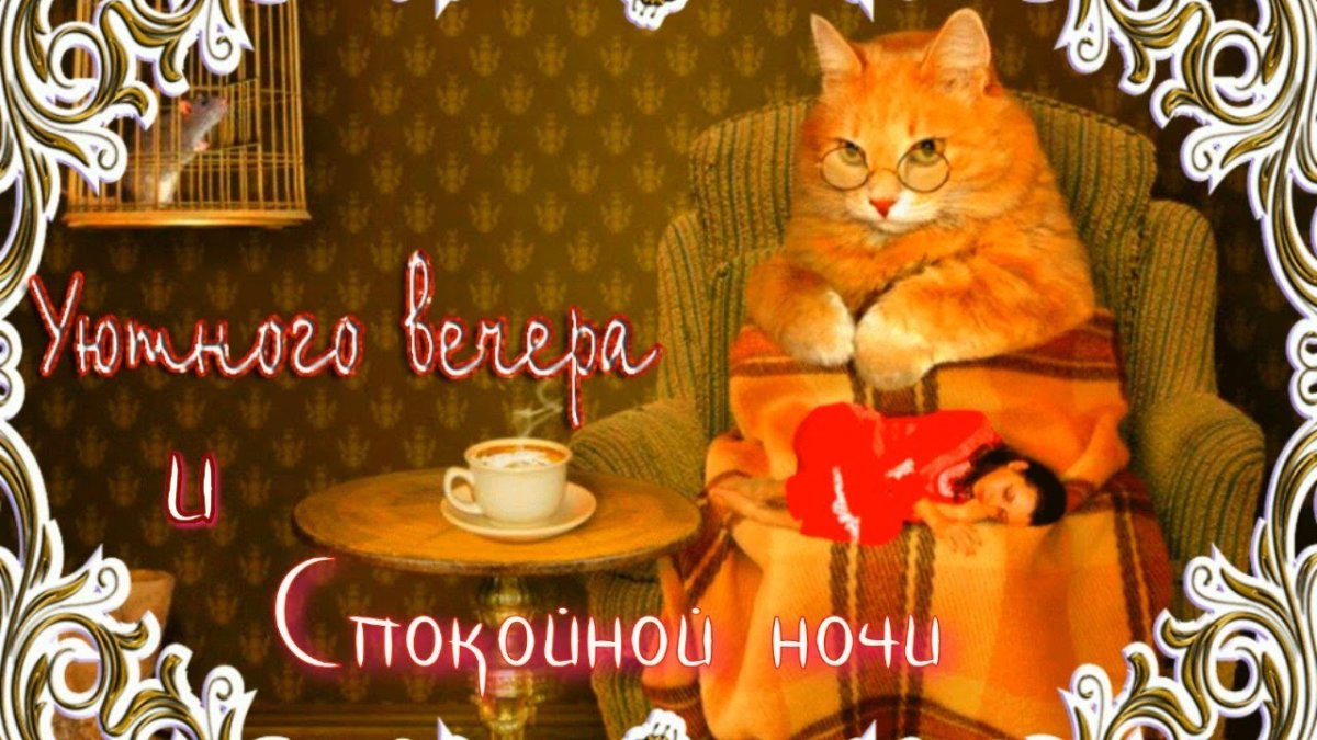 Добрый вечер мужчине