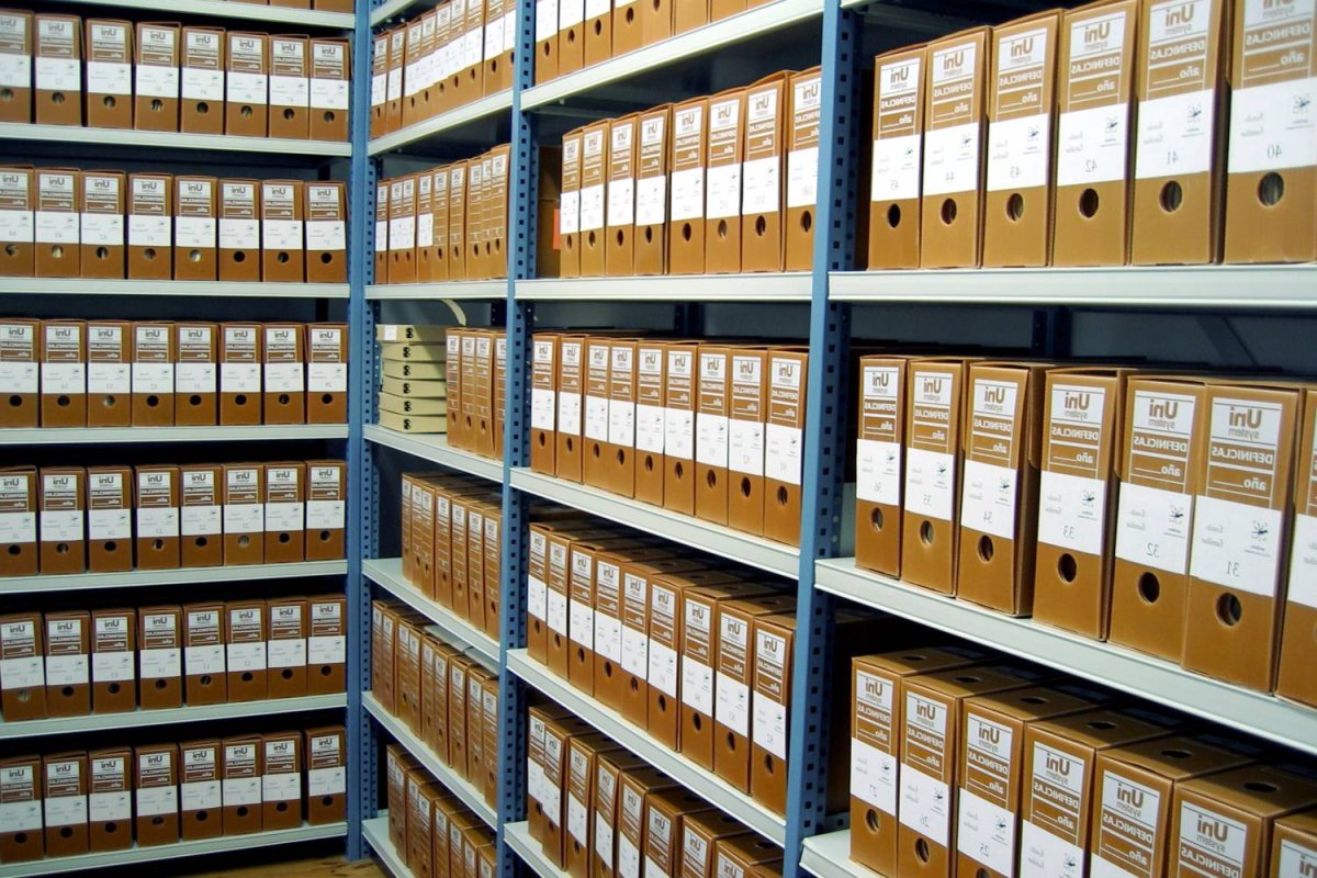 Учёба в университете Эстетика