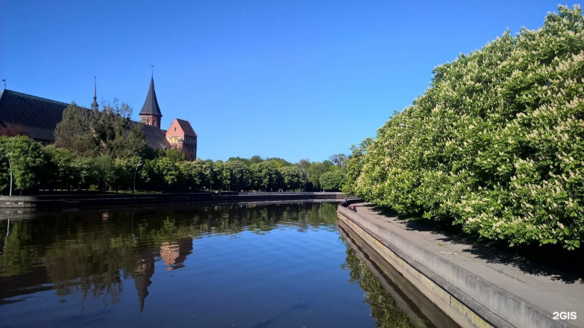 Рыбная деревня Калининград ночью