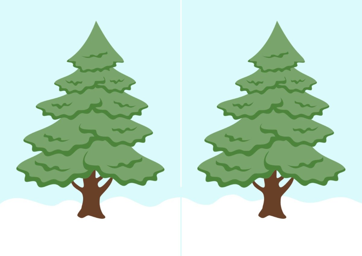 Сосна клипарт мульт