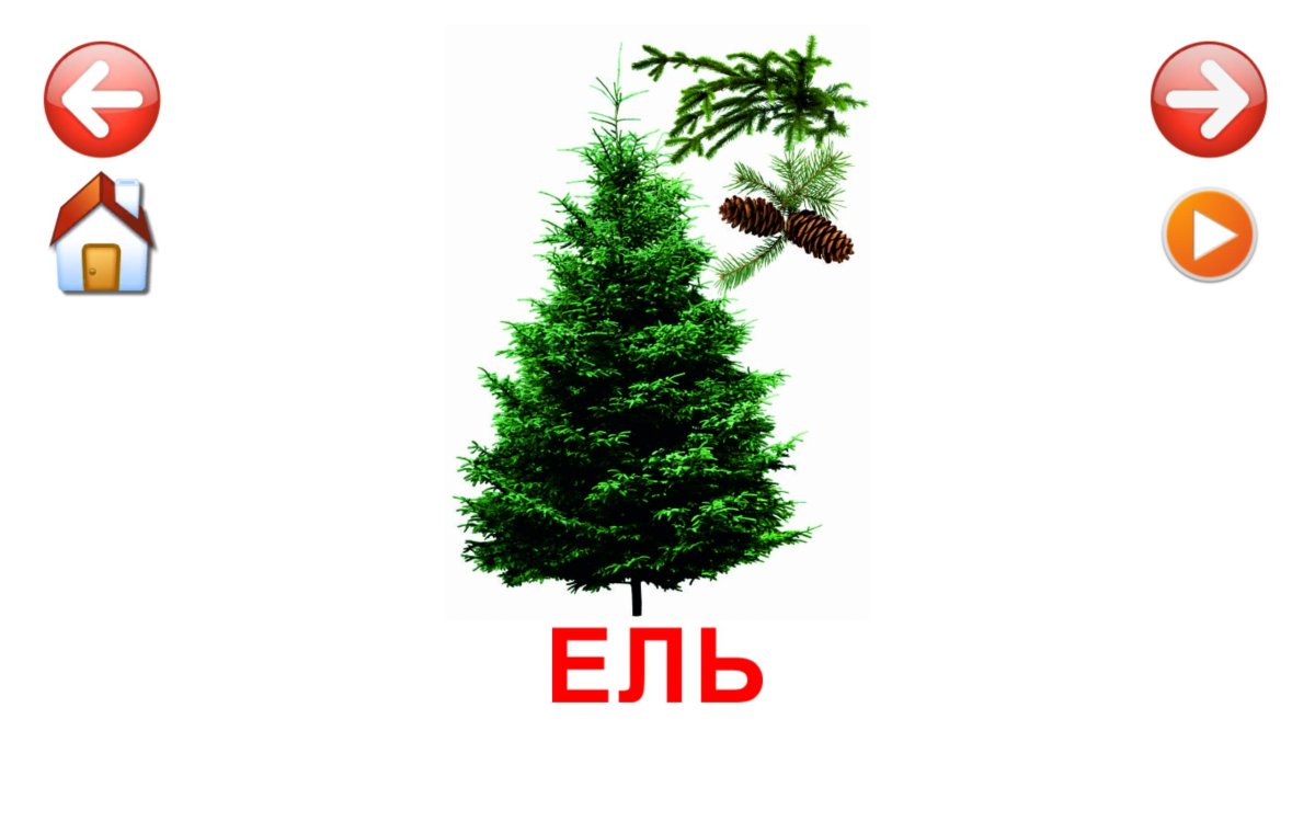 Елочки разной формы