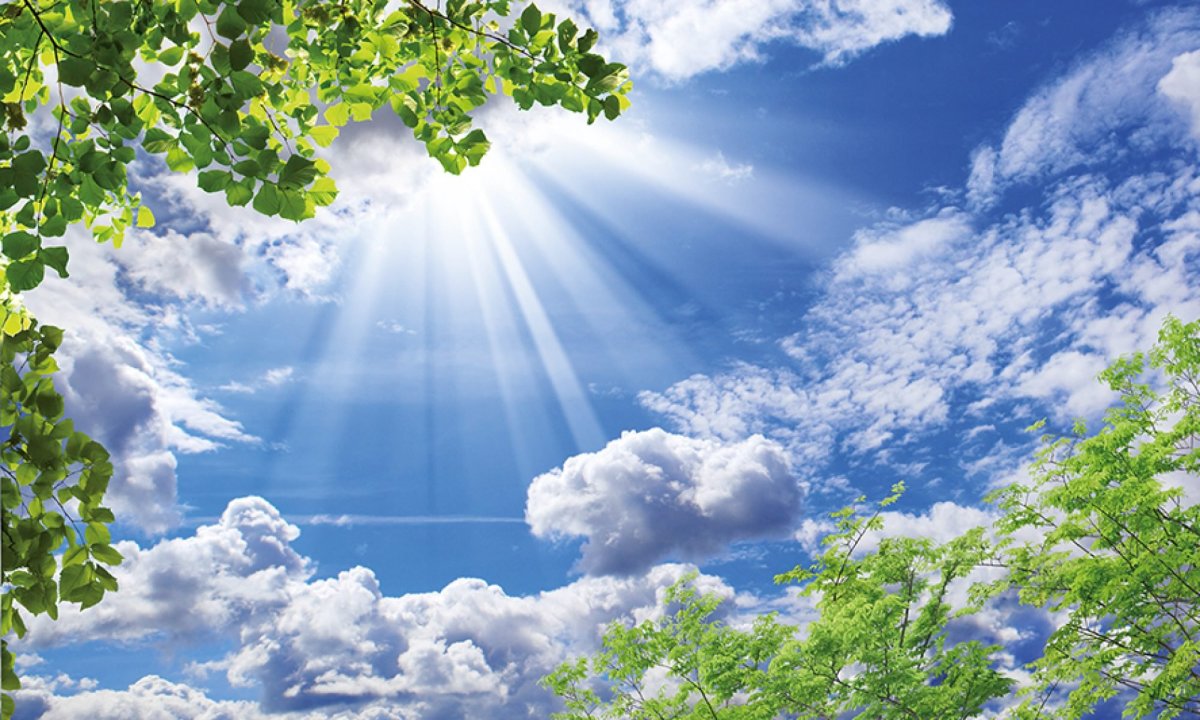 Красивое солнце