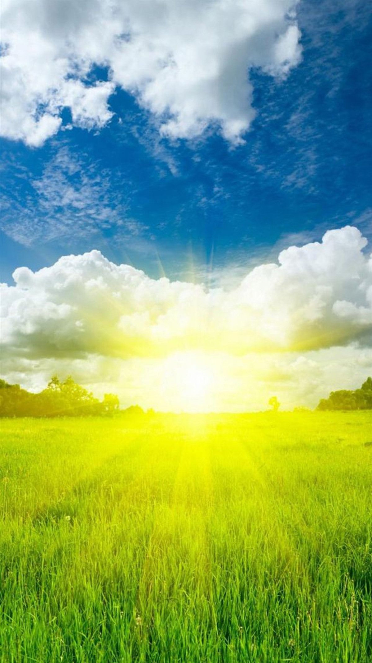 Солнечный пейзаж