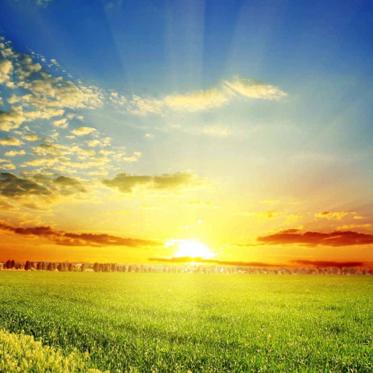 Природа солнце