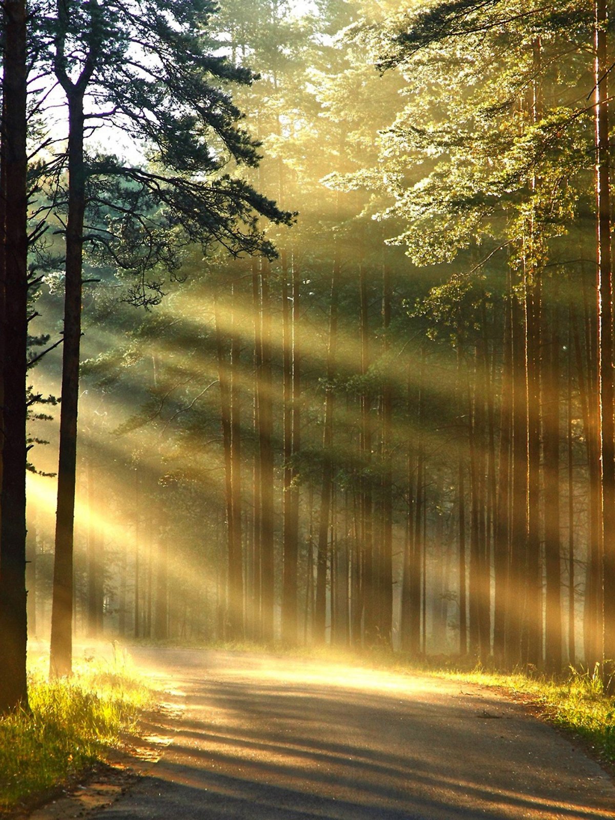 Осеннее солнце