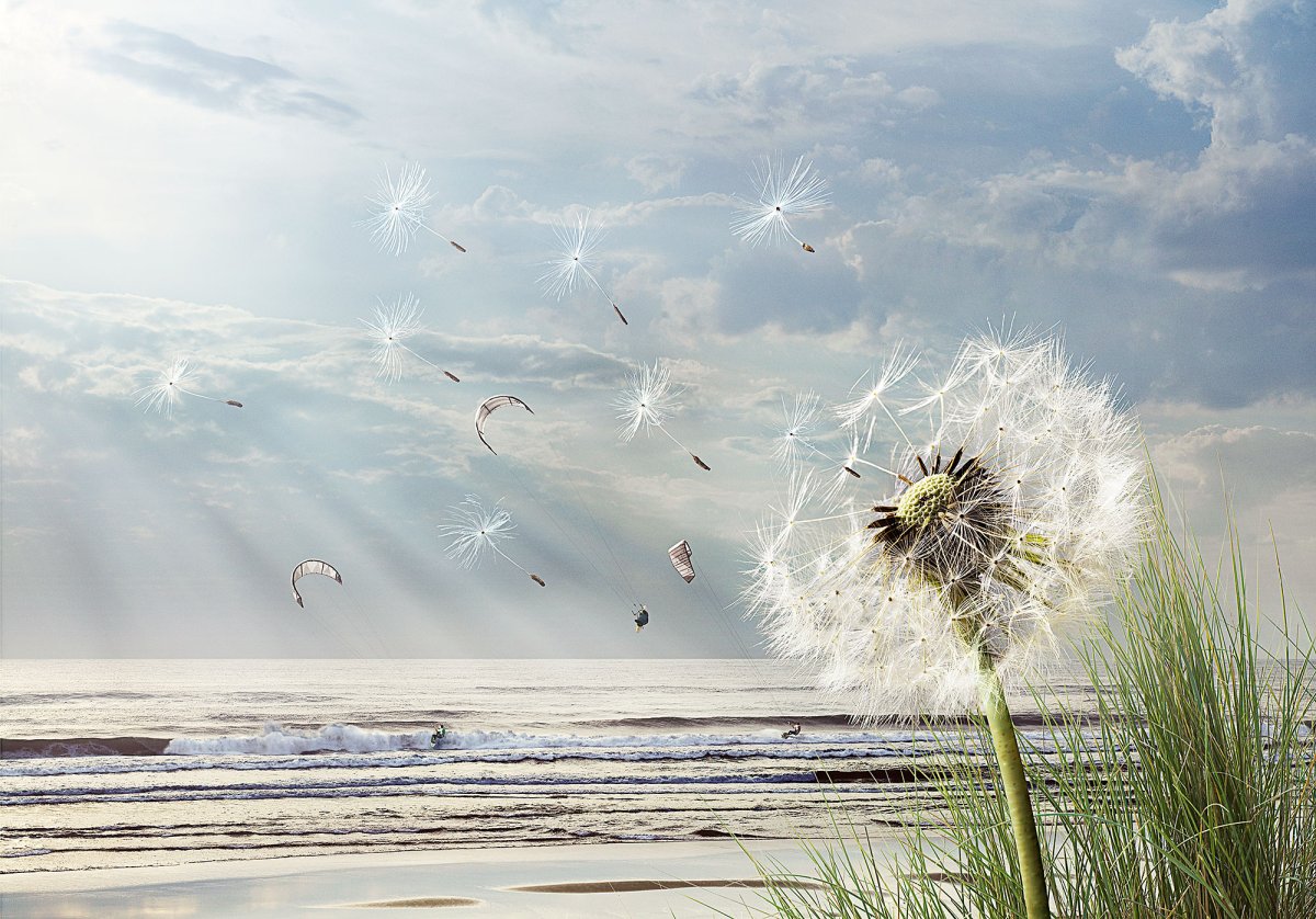 Ветер в природе