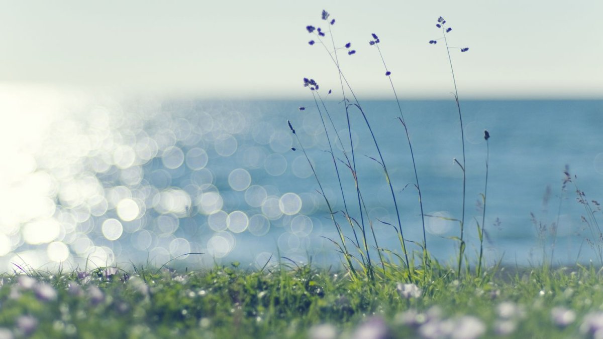 Легкий ветерок