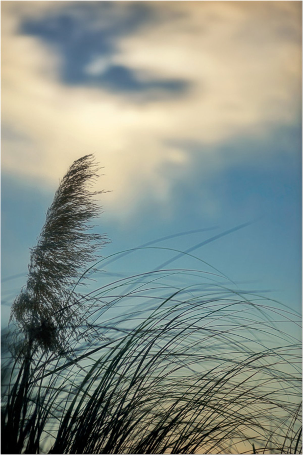 Девушка и океан