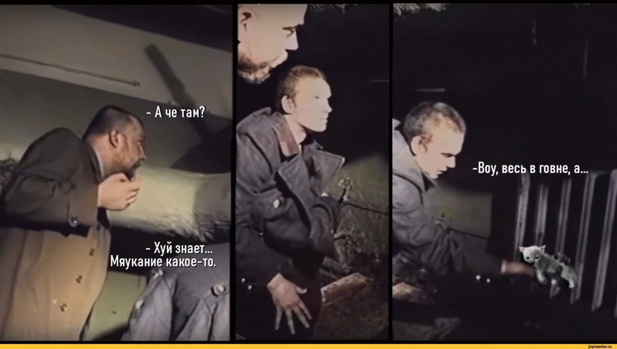 Зеленый Слоник погоны