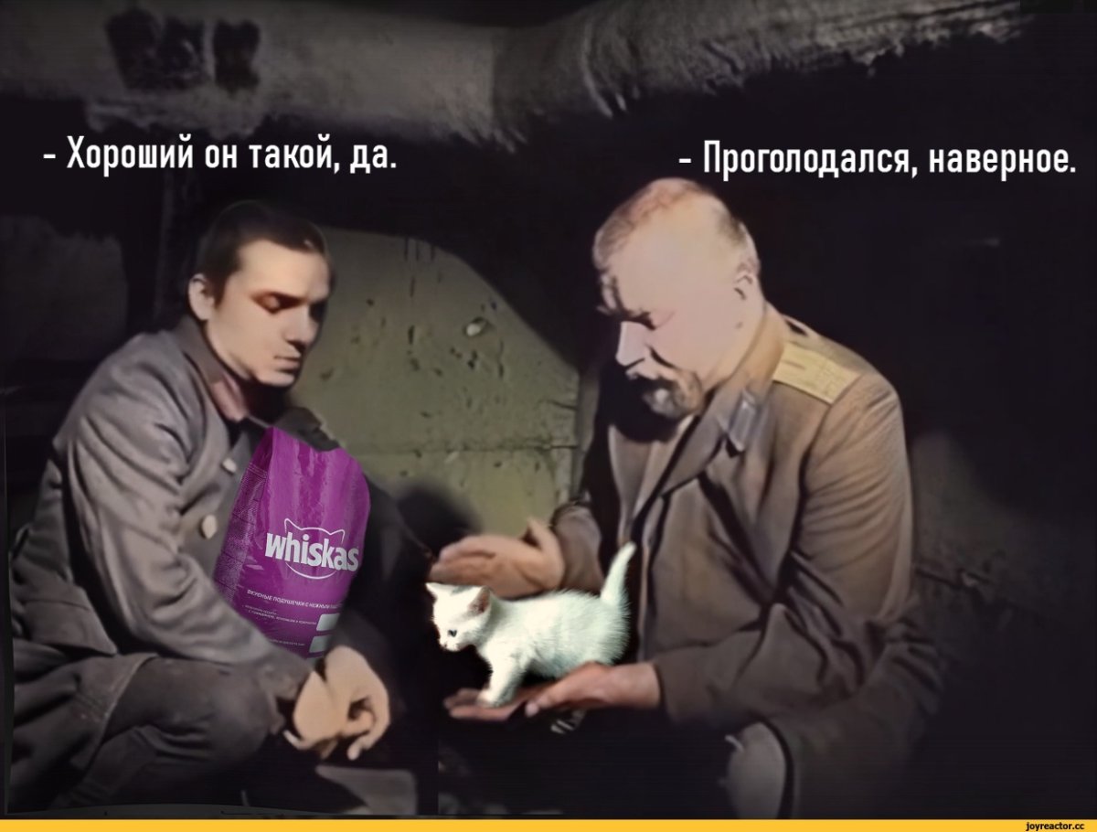 Зелёный Слоник Владимир эпифамцев