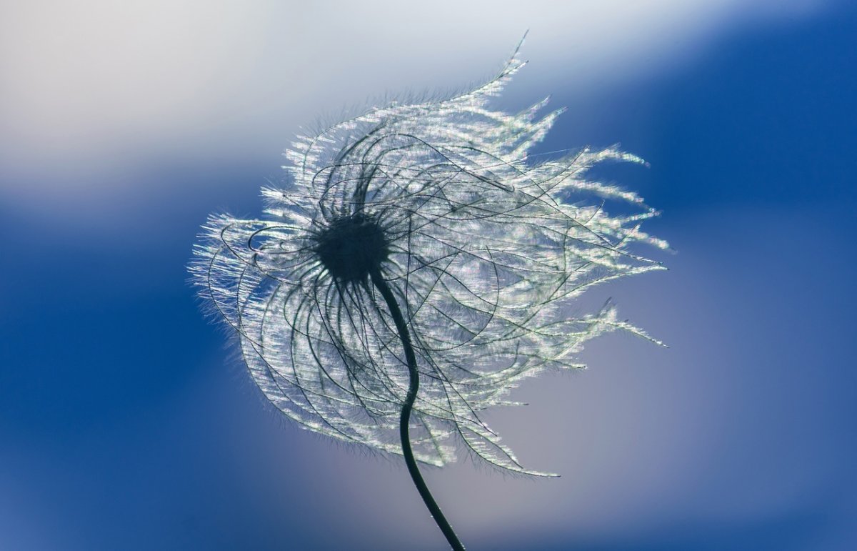 Осень дождь счастье