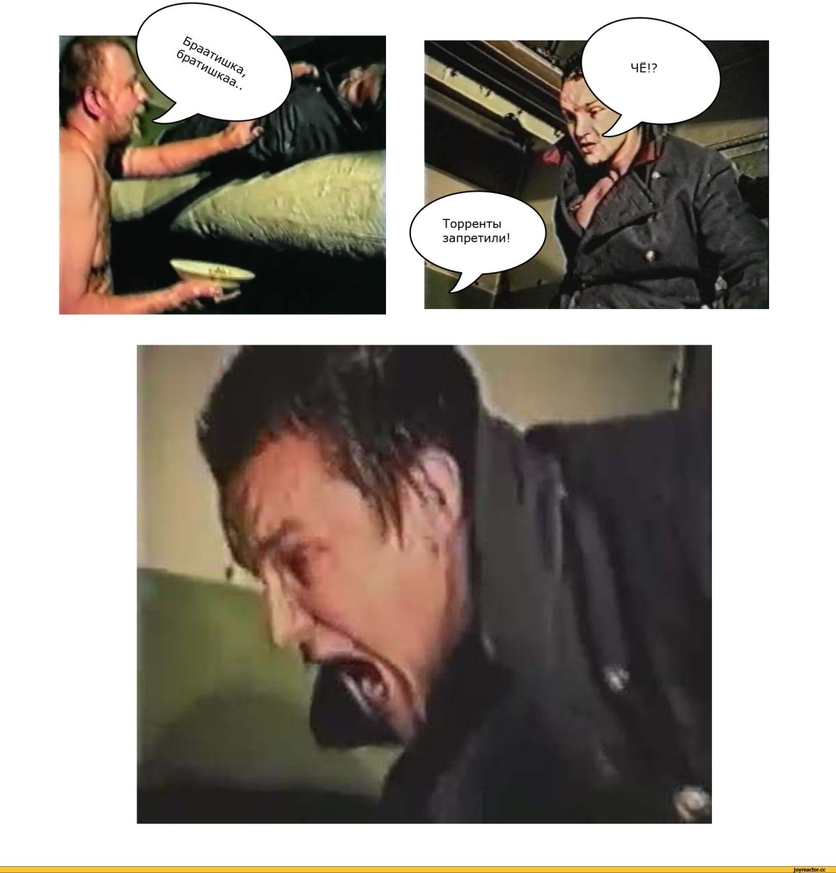 Гауптвахта зелёного слоника