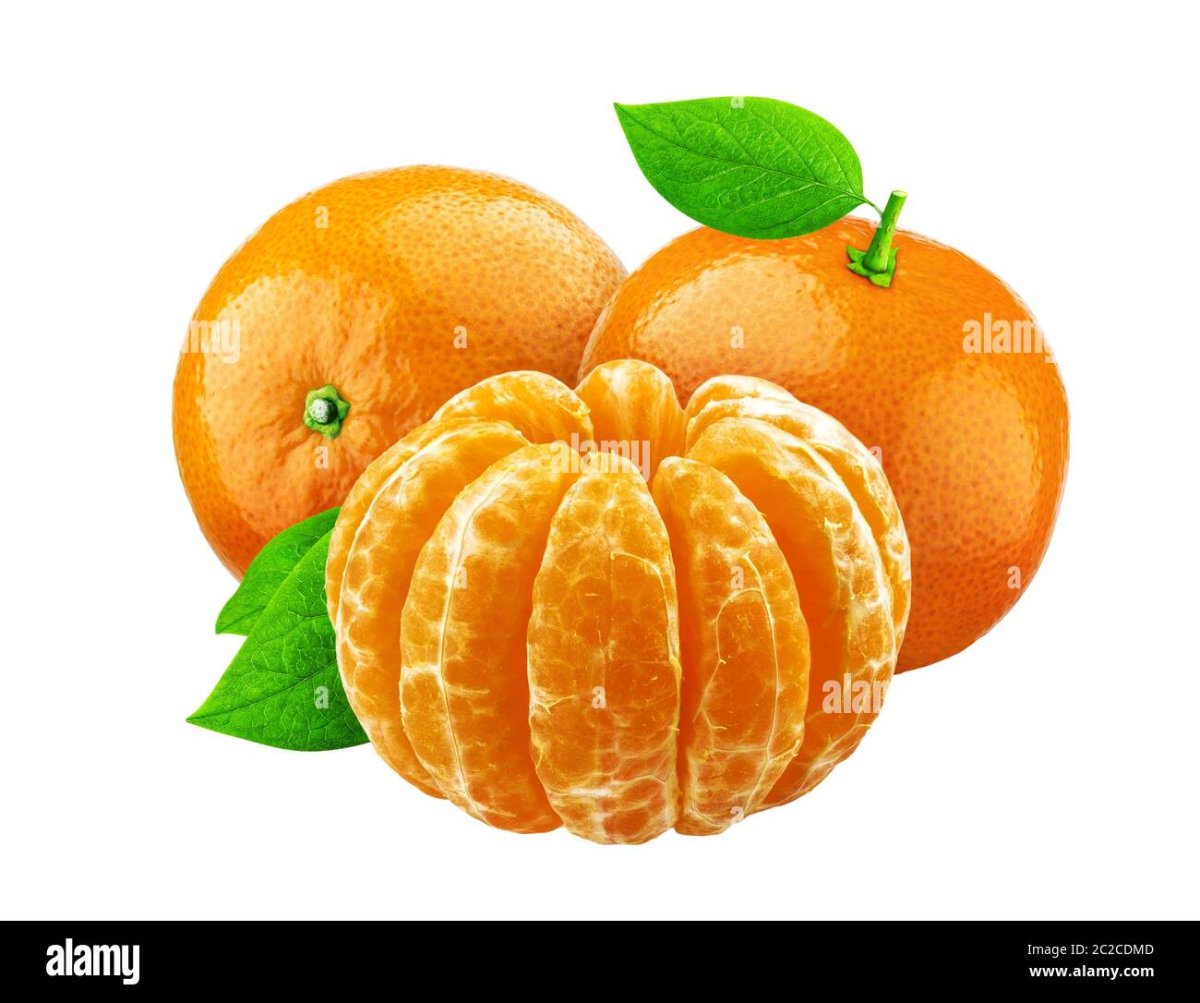 Мандарин рисунок для детей