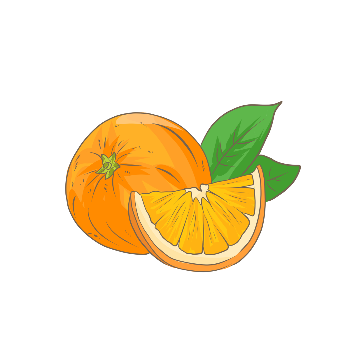 Апельсин иллюстрация