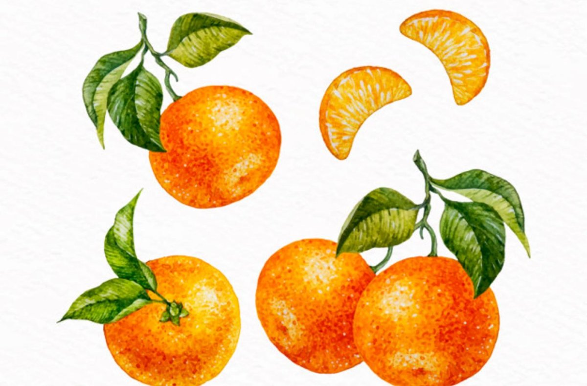 Мандарин акварелью