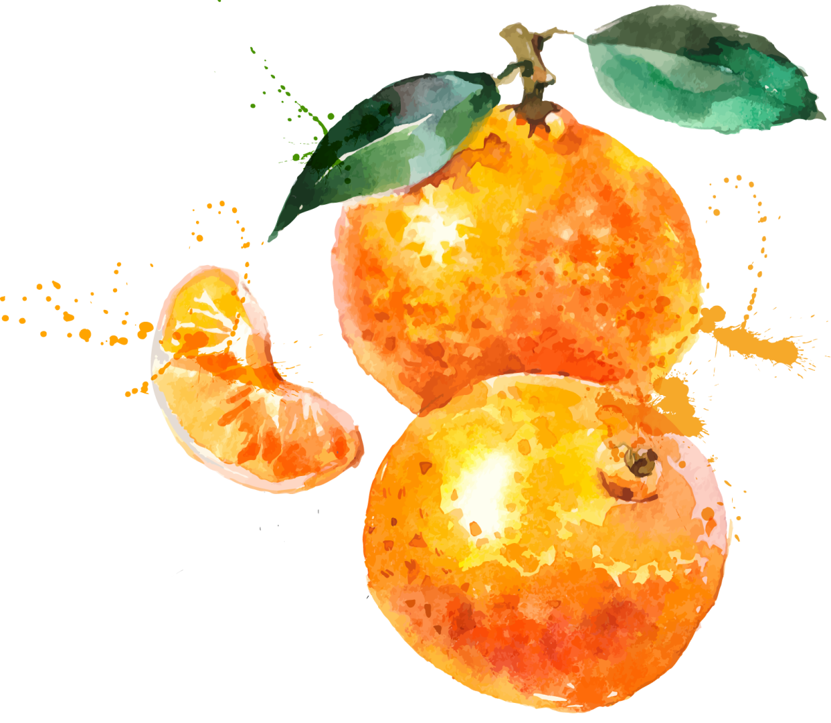 Апельсин акварелью