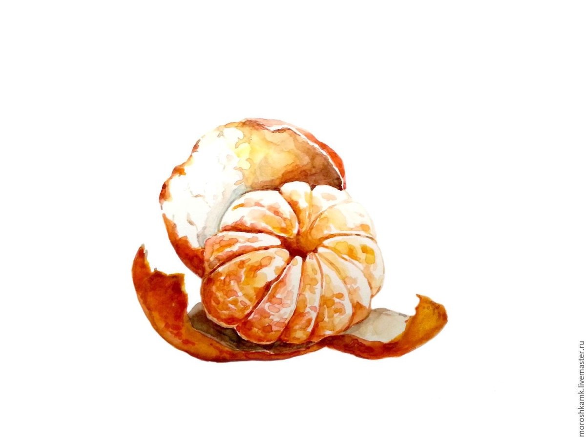 Мандарин акварелью