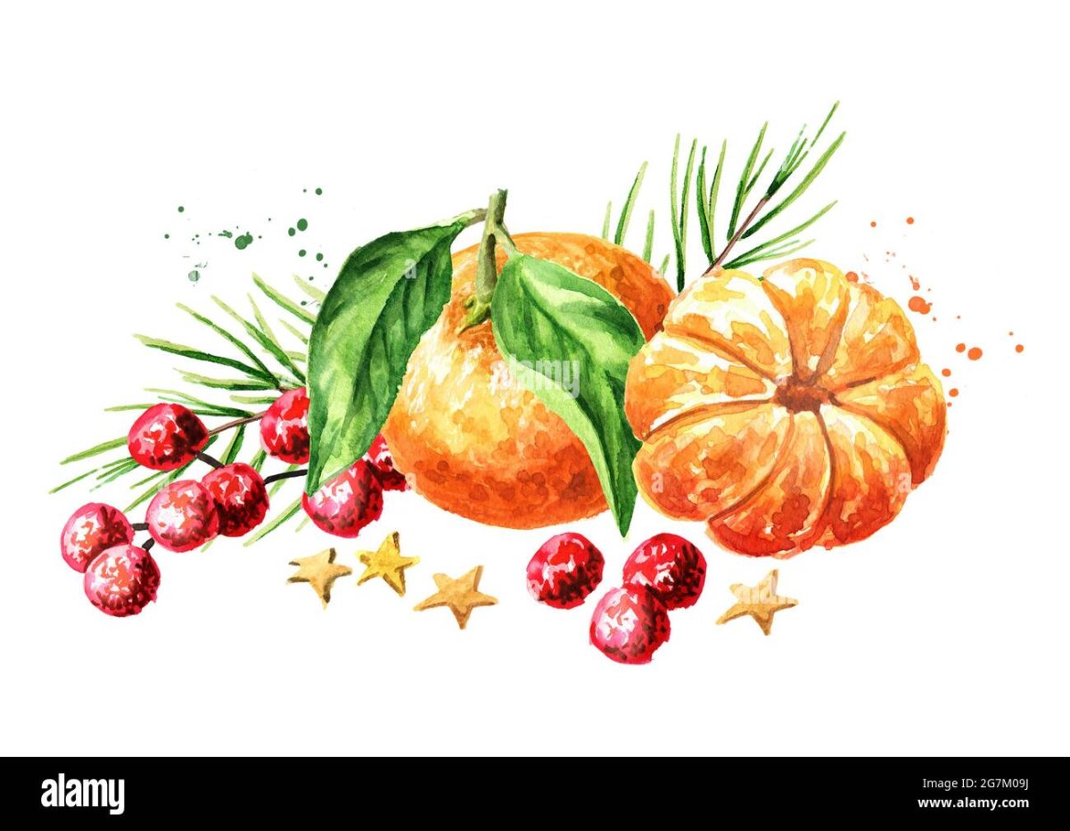 Рисуем мандарины акварелью