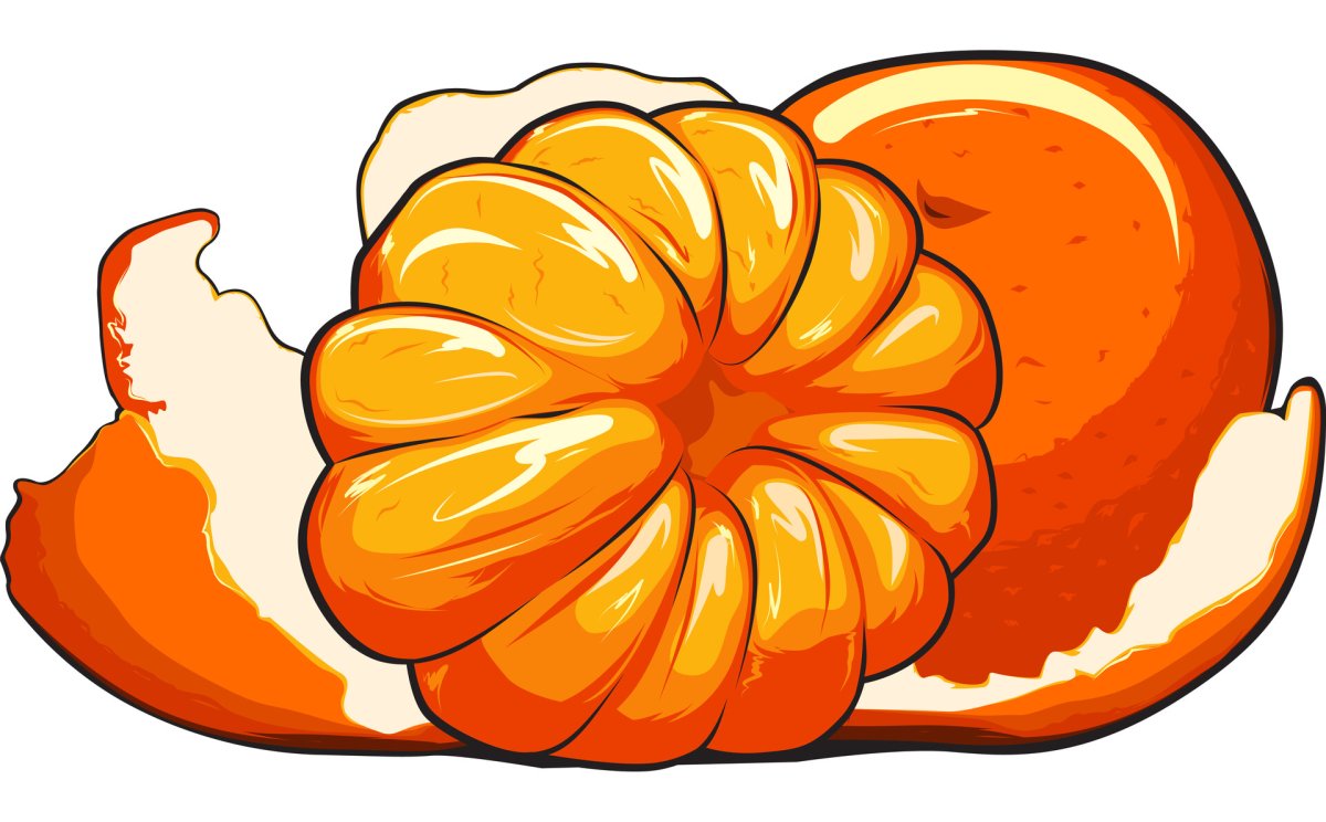 Мандарин очищенный вектор