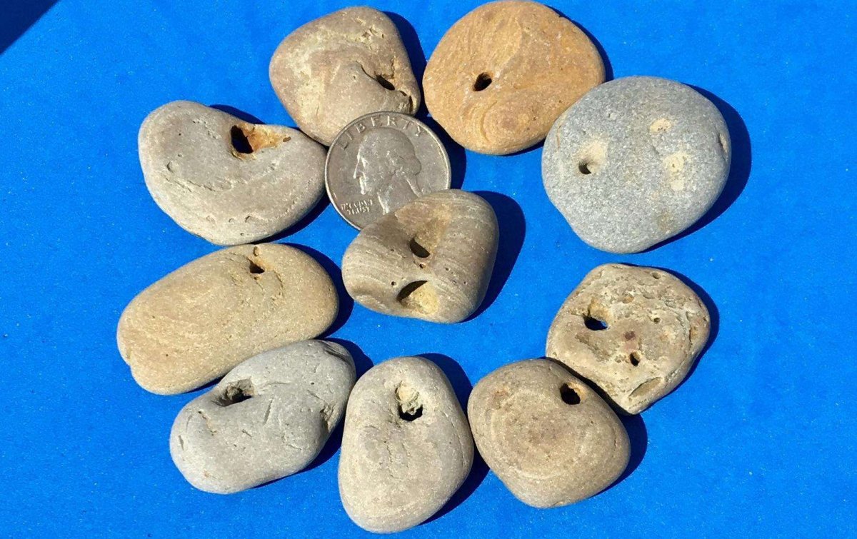 Маринус Ван Реймерсвале сборщики податей ФРАГМЕНТЫ