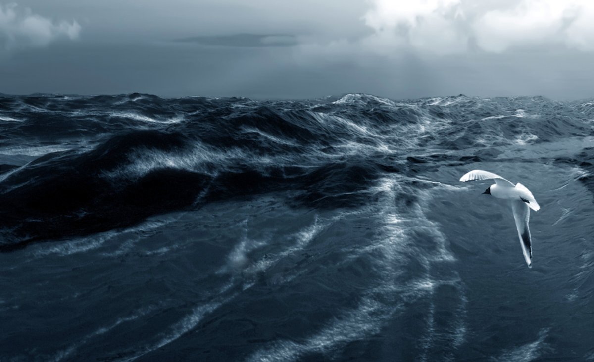 Буревестник буря