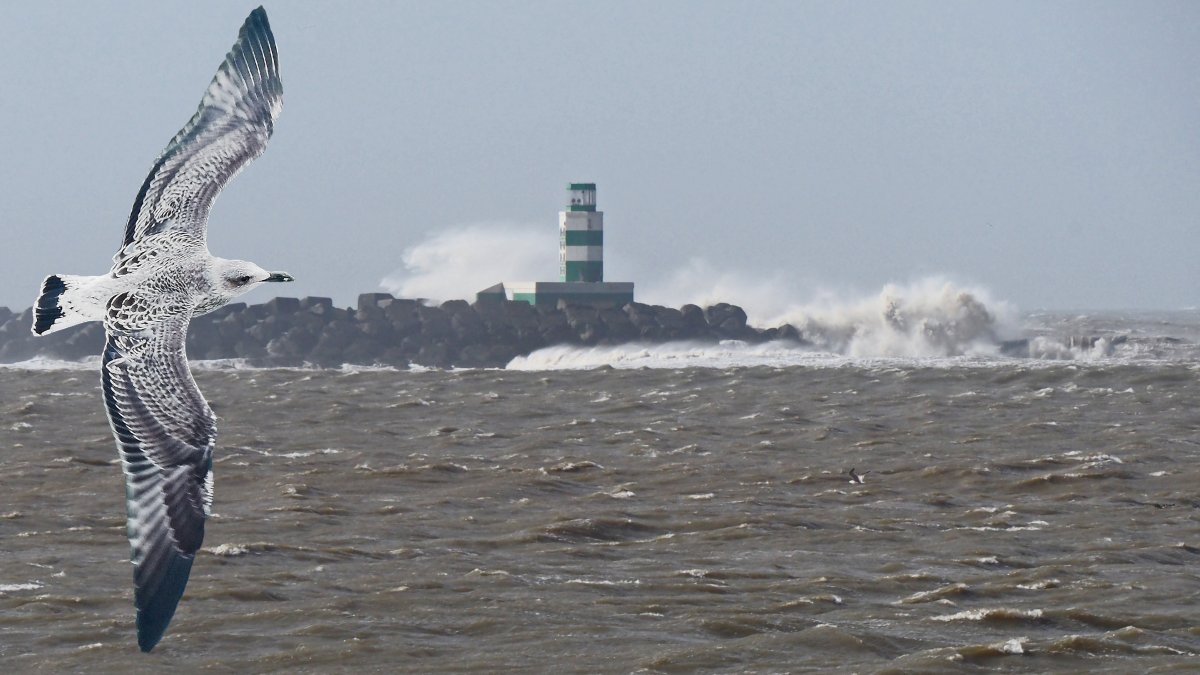 Энди Симмонс пейзаж море шторм