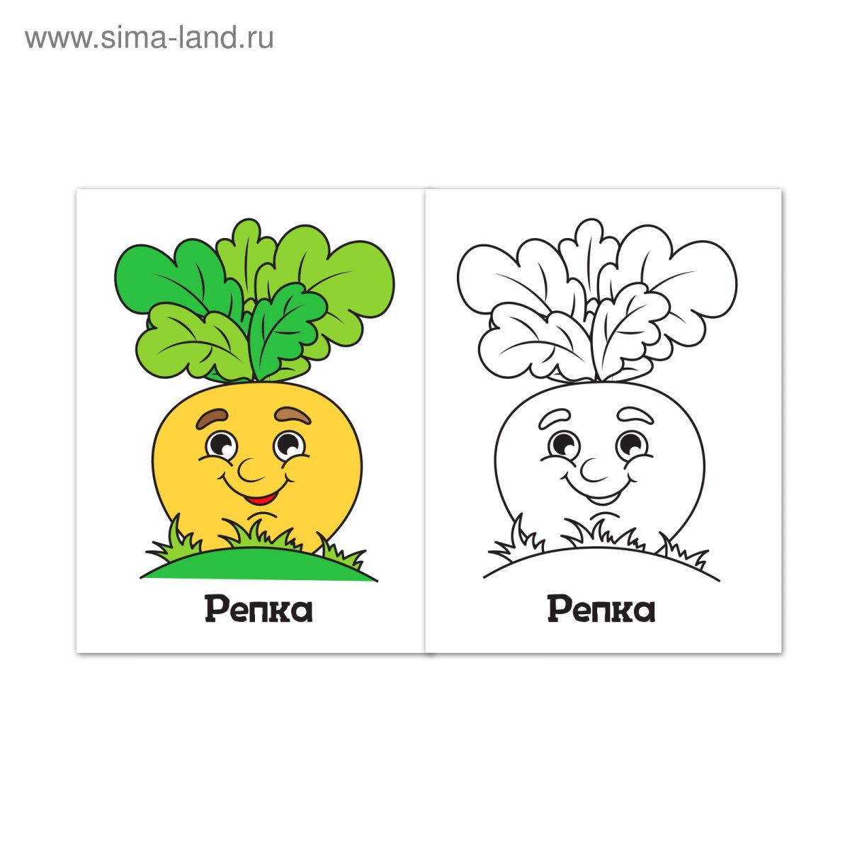 «Теремок» задания для дошколтников