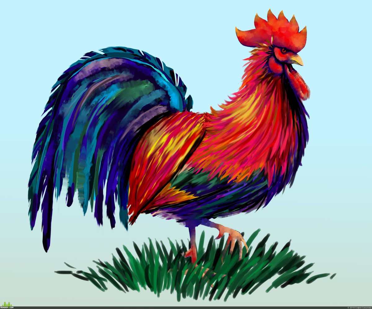 Лица и петух клипарт