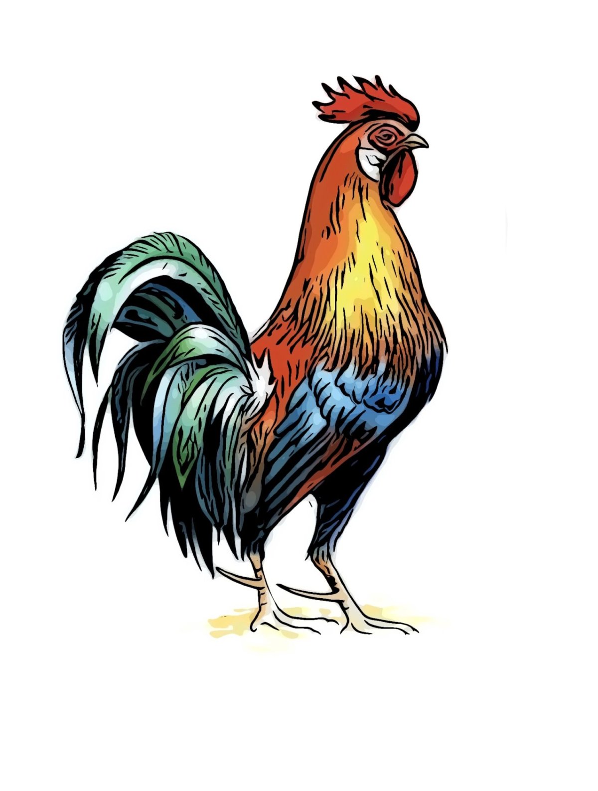 Петя-петушок золотой гребешок