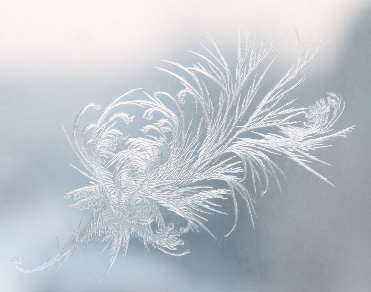 Белоснежные узоры на стекле