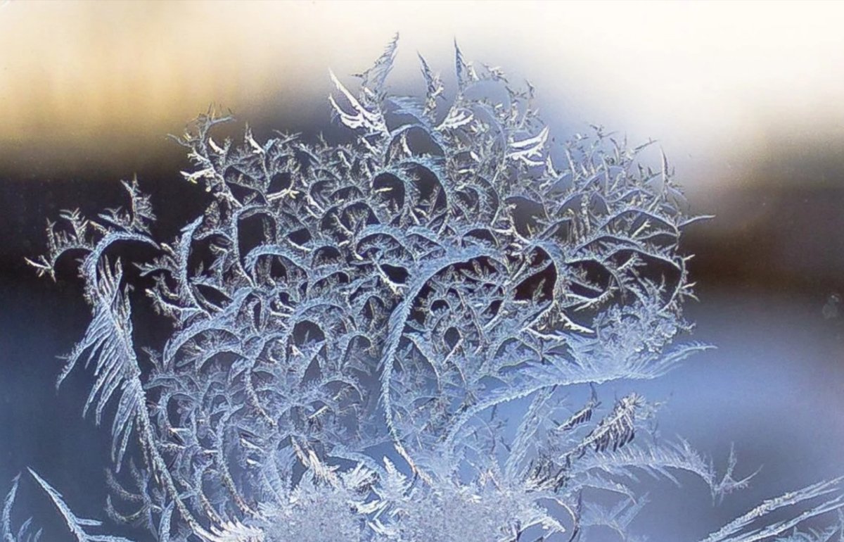 Морозные узоры