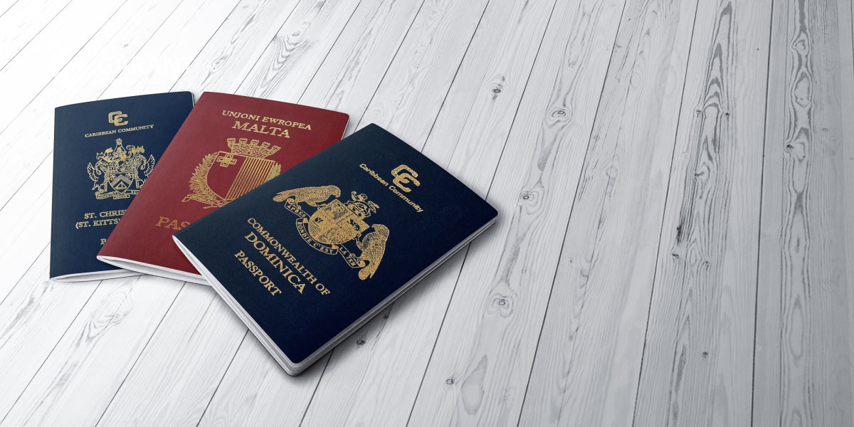 Гражданин РФ