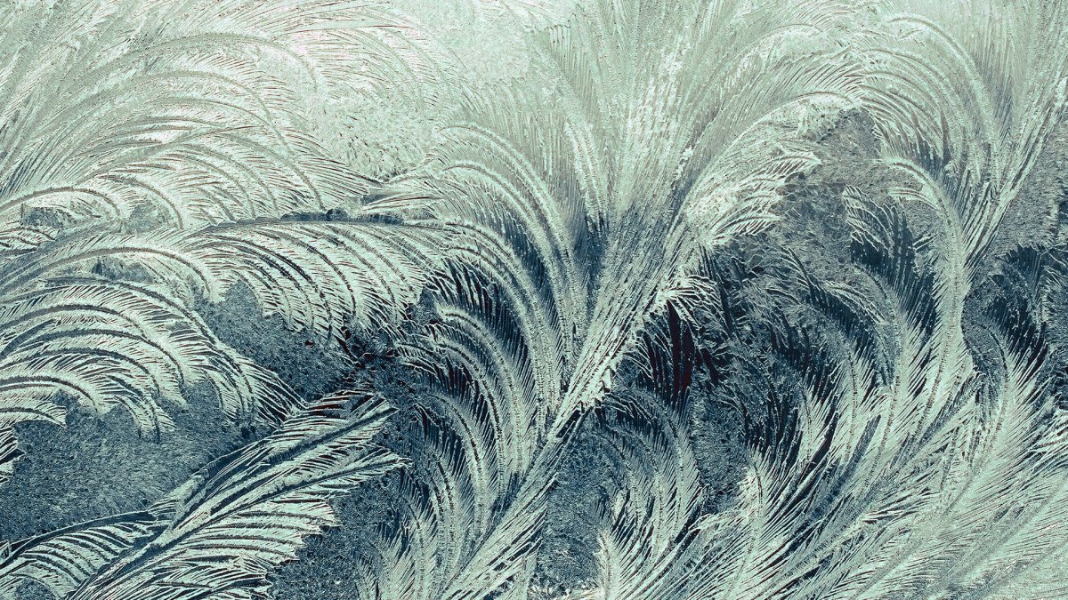 Зимнее кружево