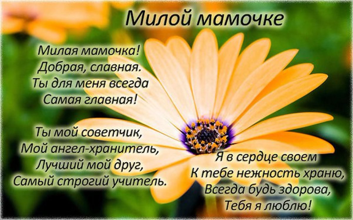 С добрым утром мама