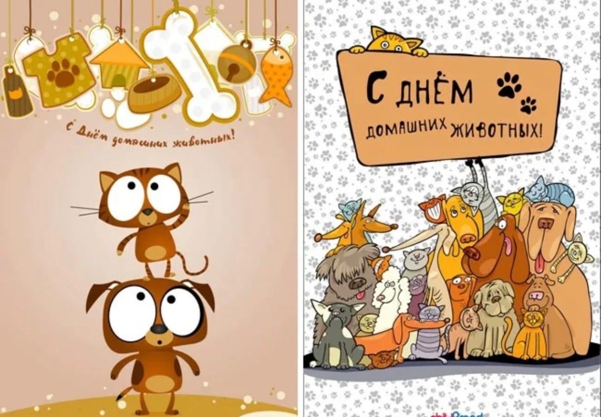 Собаки кошки птицы