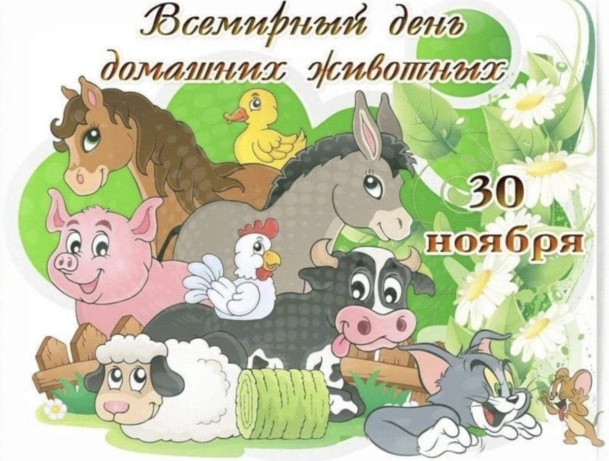 День домашних животных