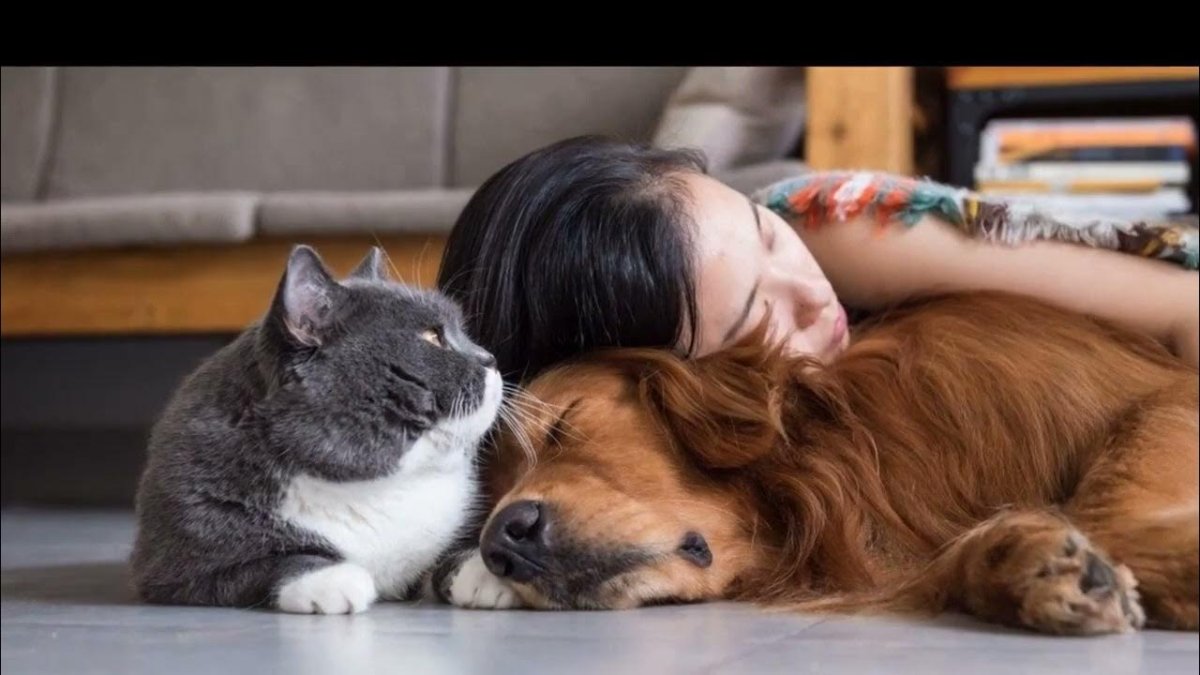 Доброе утро воскресенье прикольные