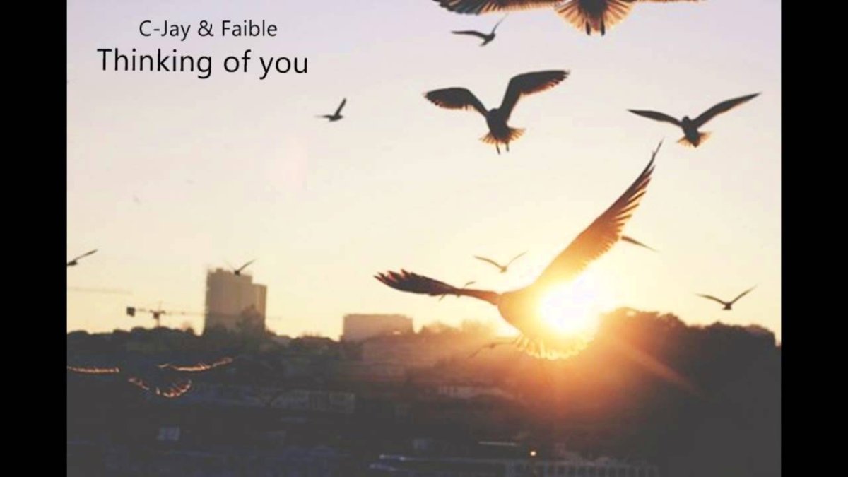 Косяк журавлей