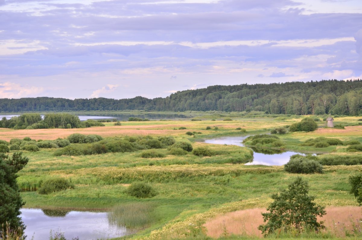Вижу русские просторы