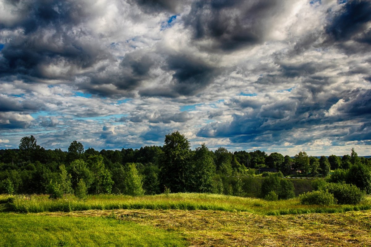 Красивые просторы