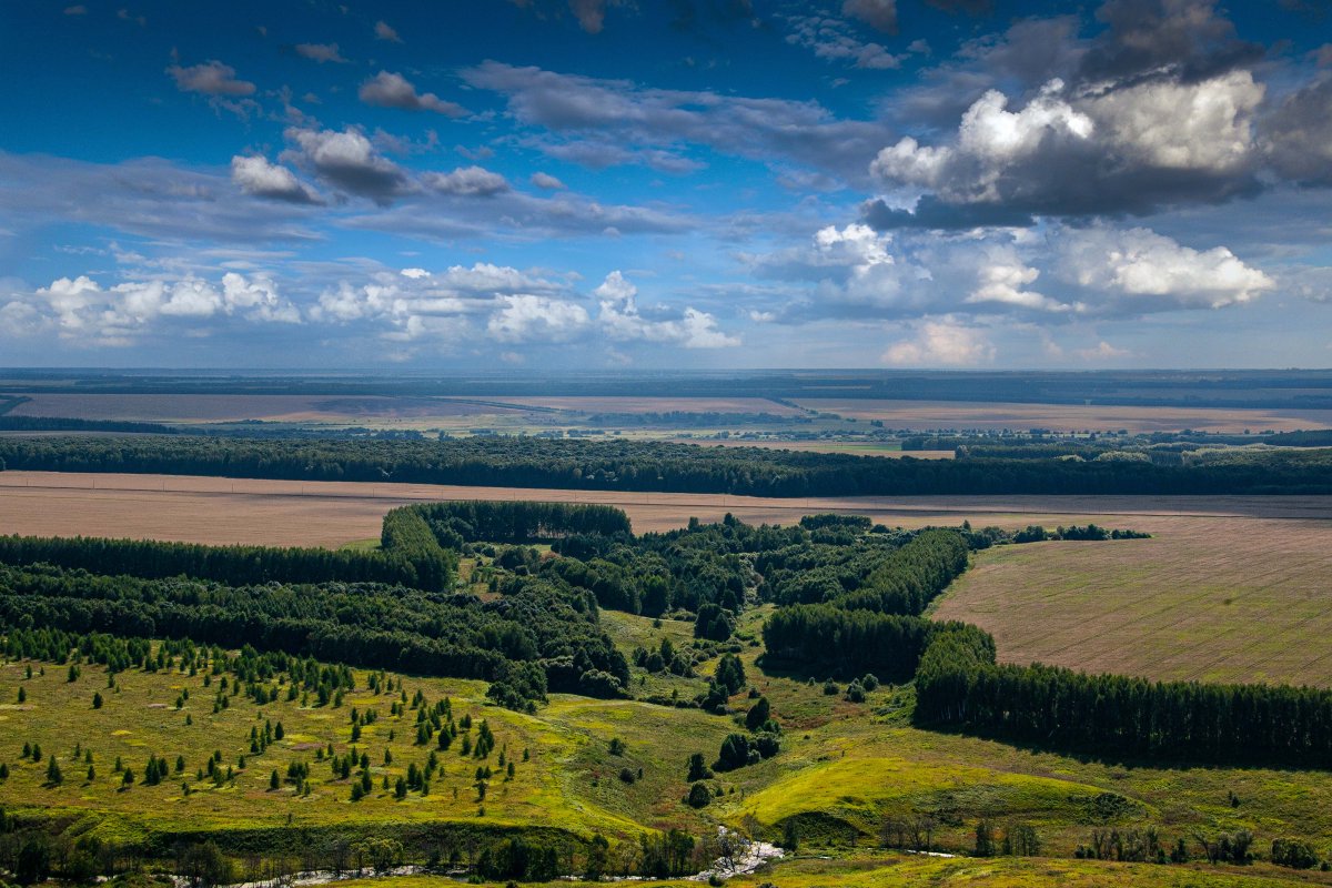 Родные просторы Казань