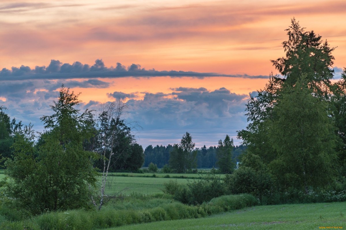 Рассвет в Елабуге