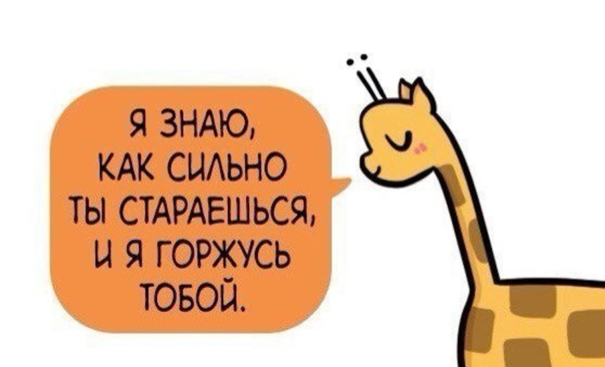 Мотивирующий котик