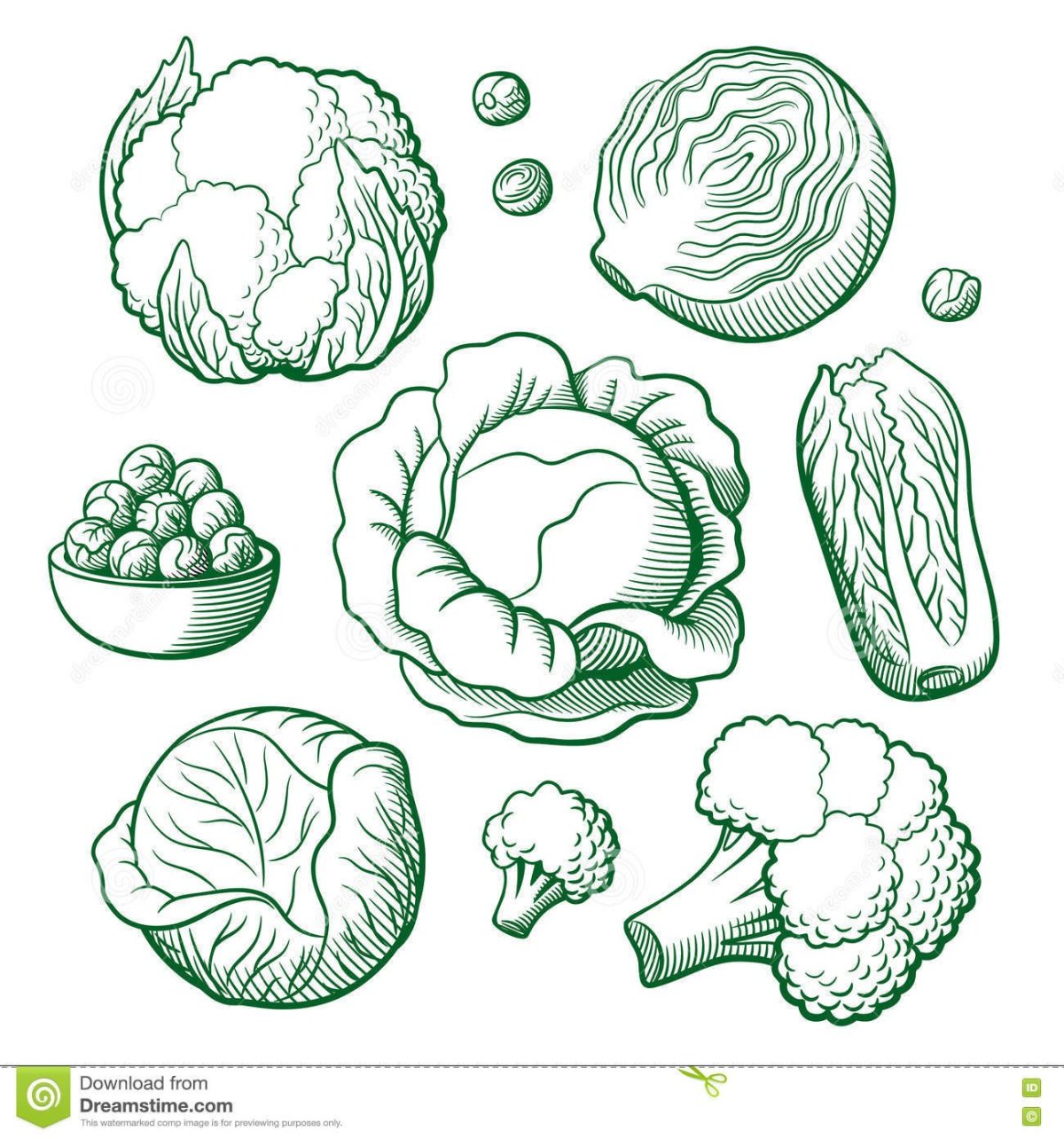 Капуста аппликация для детей