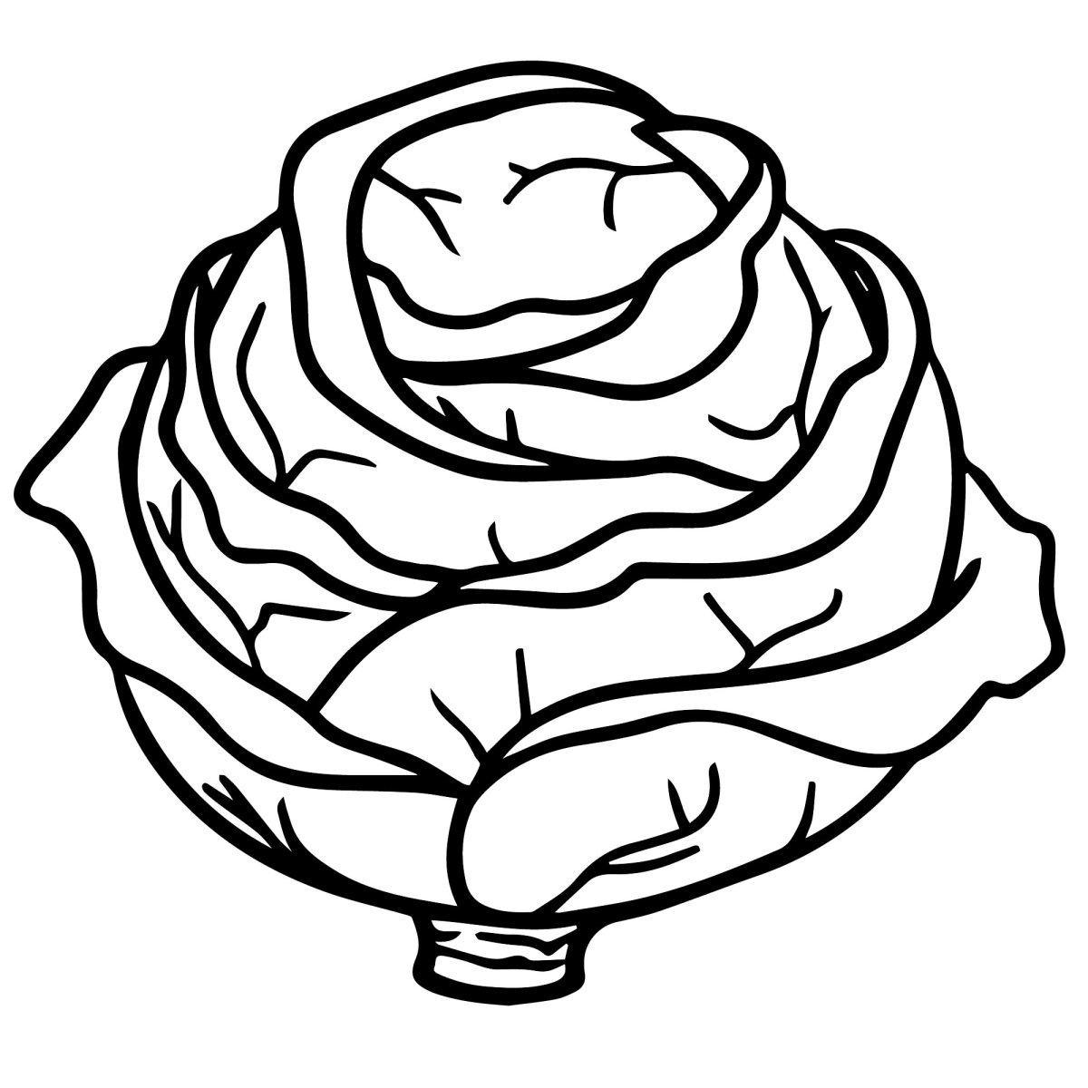 Капуста раскраска