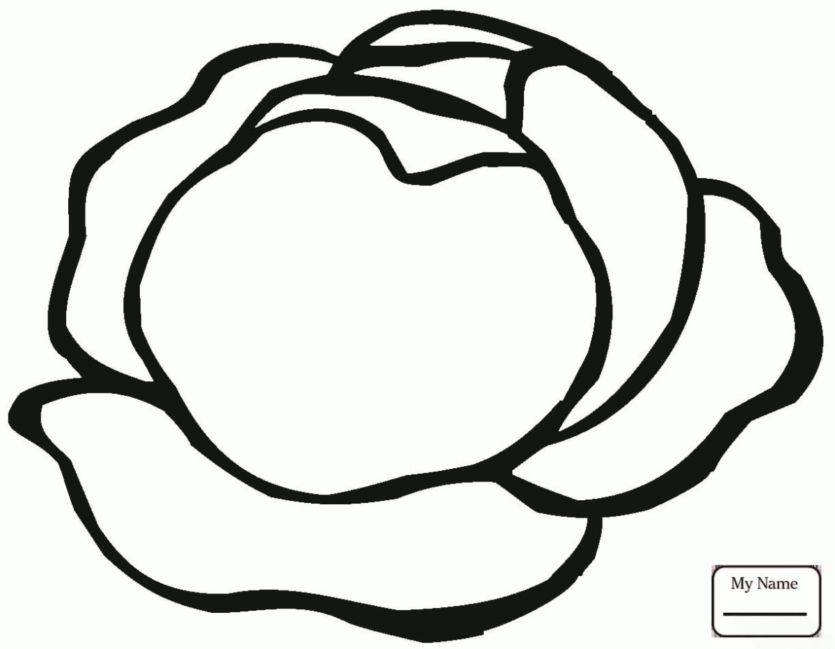 Капуста раскраска для малышей