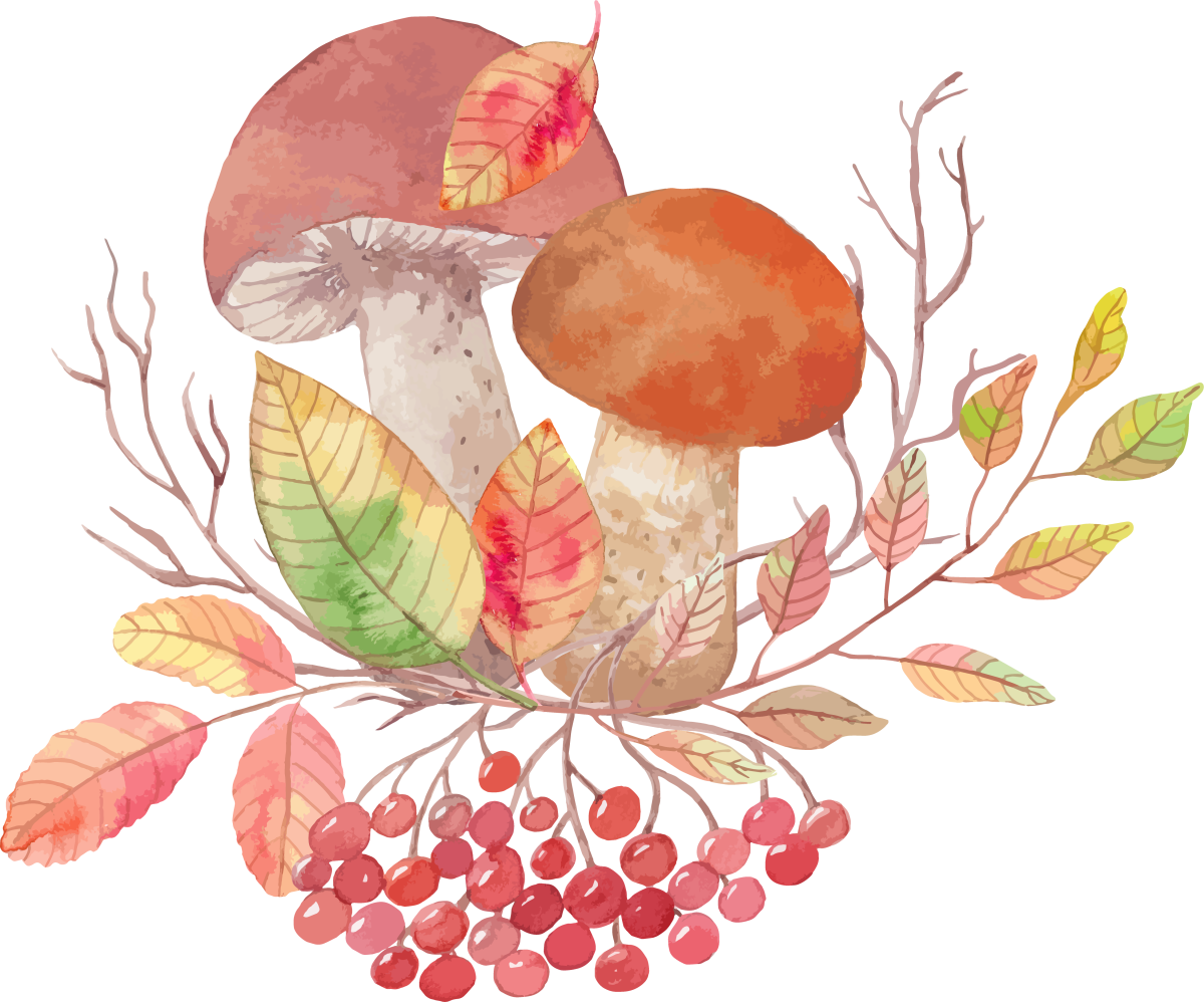 Грибы акварелью